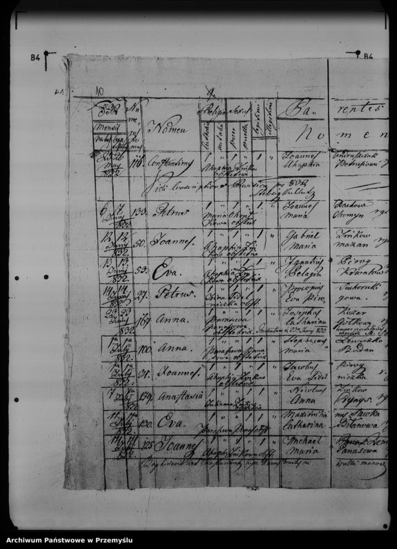 Obraz 14 z jednostki "[Kopie ksiąg metrykalnych parafii Wólka Mazowiecka (dekanat Rawa Ruska)]"