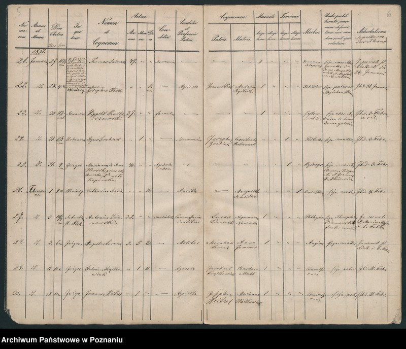Obraz 5 z jednostki "Księga zgonów"