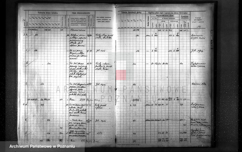 image.from.unit.number "Plan urządzenia gospodarstwa leśnego dla lasu majętności Otto Qiurama w gminie Piotrowo powiat szamotulski"