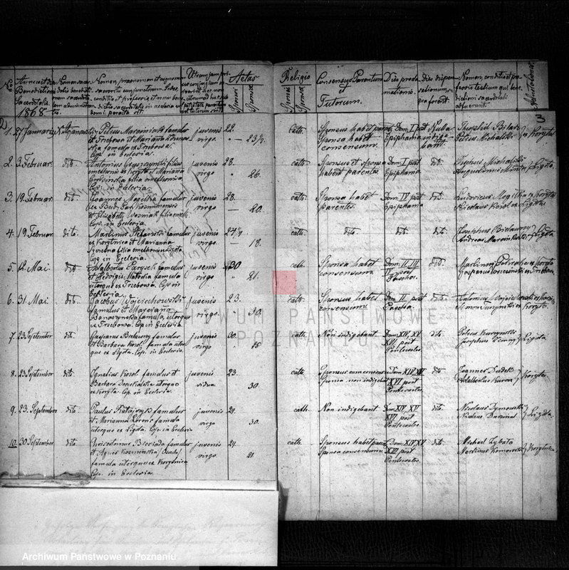 Obraz 2 z jednostki "Liber copulatorum"
