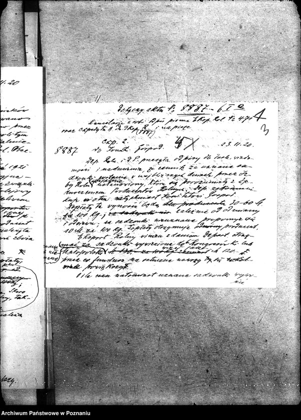 Obraz 7 z jednostki "Sprawy szczegółowo-administracyjne Ministerstwo Rolnictwa sprzedaż sadzonek"