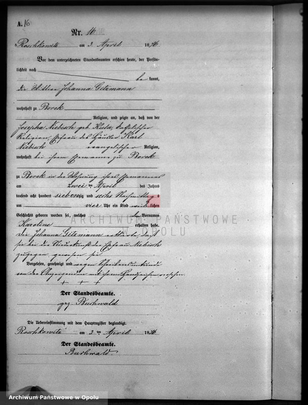 image.from.unit.number "Geburts-Neben-Register Standesamts Roschkowitz pro 1876"