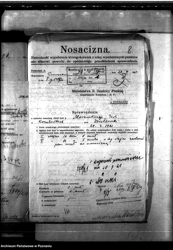 Obraz 12 z jednostki "Nosacizna - Działdowo"