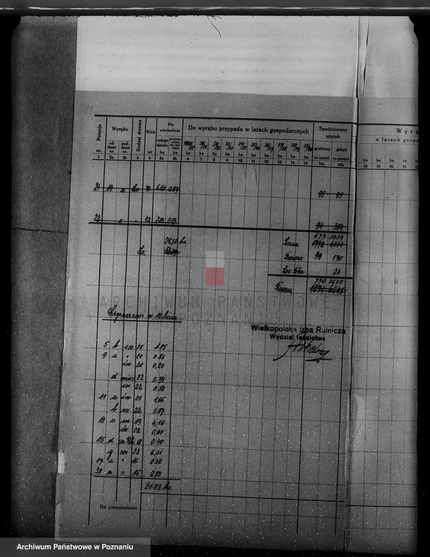 Obraz 15 z jednostki "/Nadzór nad lasami/ majątku Gębice powiatu czarnkowskiego"