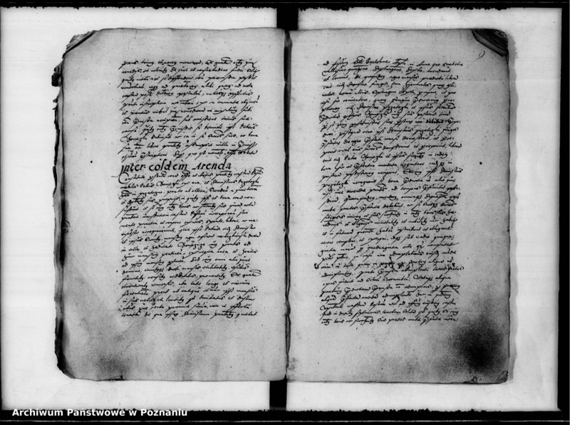 Obraz 13 z jednostki "Inscriptiones, relationes [inducta]"