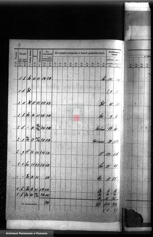 image.from.unit.number "Plan urządzenia gospodarstwa leśnego dla lasu majętności Przyborówko powiat szamotulski 1929-1939"