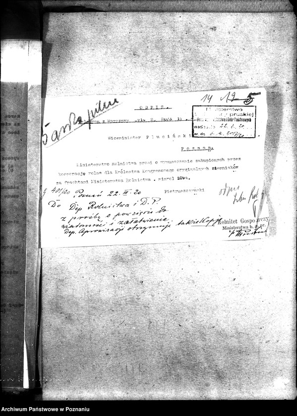 Obraz 18 z jednostki "Sprawy szczegółowo-administracyjne Sadzonki"