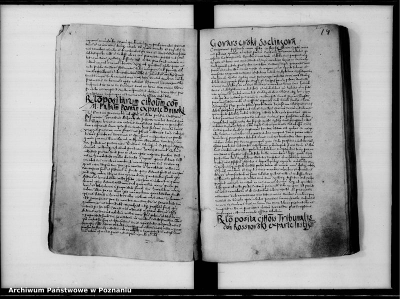 Obraz 20 z jednostki "Inscriptiones, relationes [inducta]"