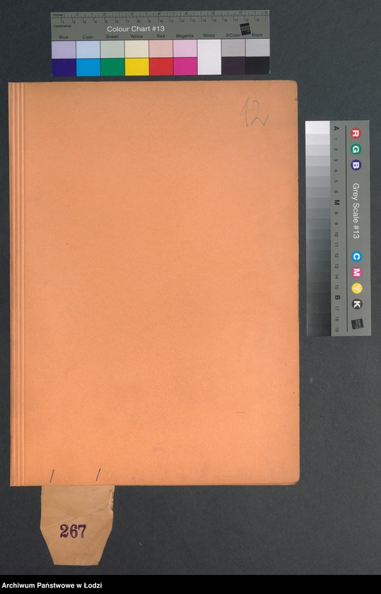 Obraz 14 z jednostki "[Aneksy od nr 266 do nr 274a]"