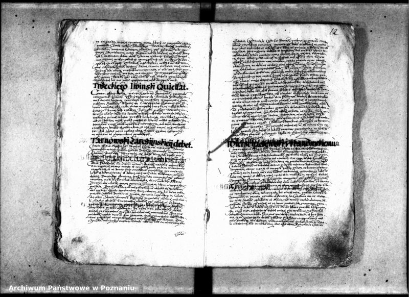 Obraz 15 z jednostki "Inscriptiones [inducta]"