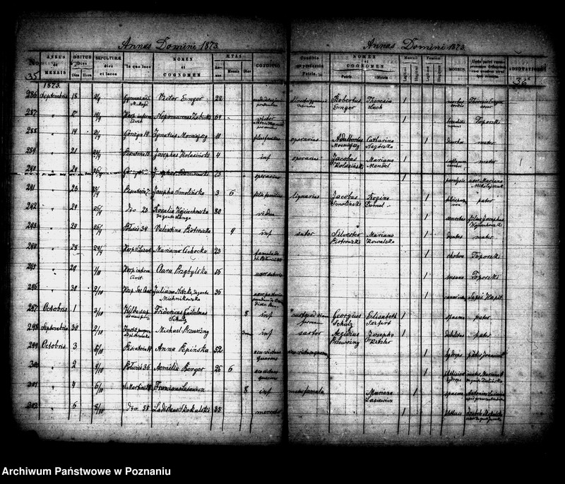 Obraz 19 z jednostki "Księga zgonów"