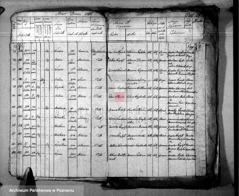 Obraz 6 z jednostki "Duplikat baptisatorum, copulatorum u. mortuorum"