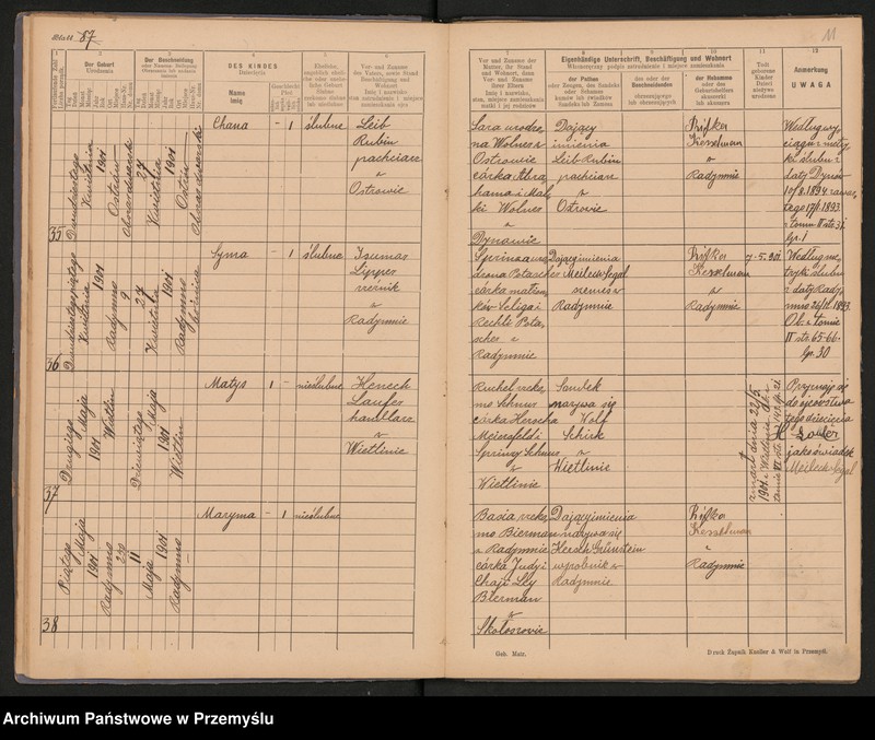 image.from.unit.number "Duplikat metryki urodzin za 1901 rok Urzędu metrykalnego izraelickiego w Radymnie. Tom VIII"