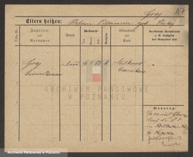 Obraz 19 z jednostki "Grage - Gralinski"