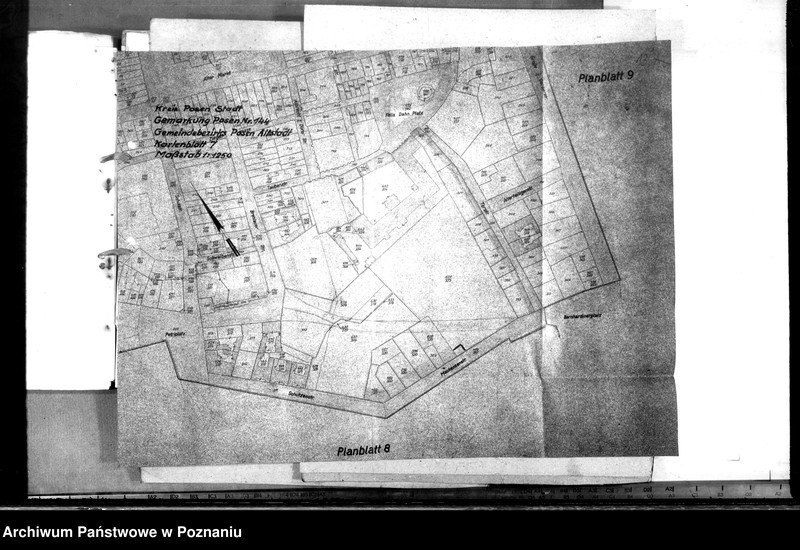 Obraz 17 z jednostki "Prace budowlane w ogrodzie urzędu namiestnika"
