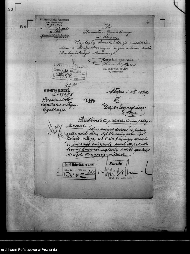 Obraz 6 z jednostki "Koło Myśliwskie w Słupcy powiat koniński"