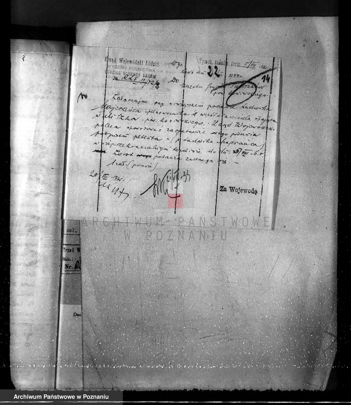 Obraz 18 z jednostki "Sprawa wydzielenia gruntów leśnych z majątku Rysin powiat koniński"