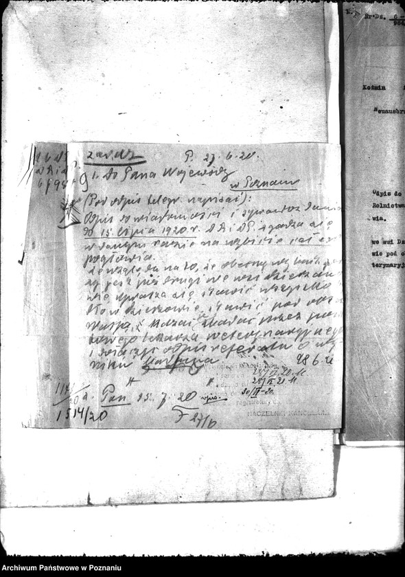 Obraz 13 z jednostki "Zaraza płucna - Koźmin"