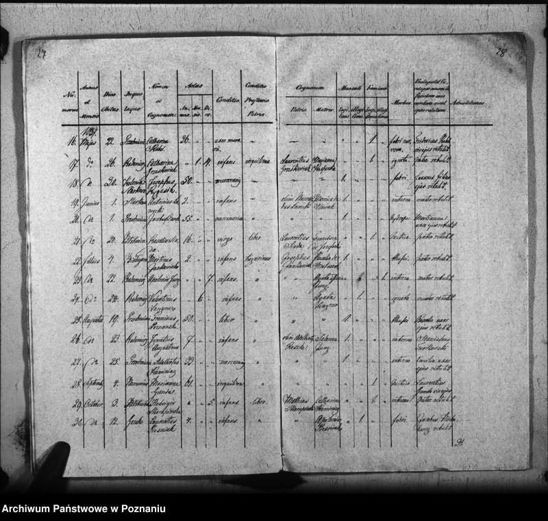 Obraz 19 z jednostki "Liber baptisatorum, copulatorum, mortuorum"