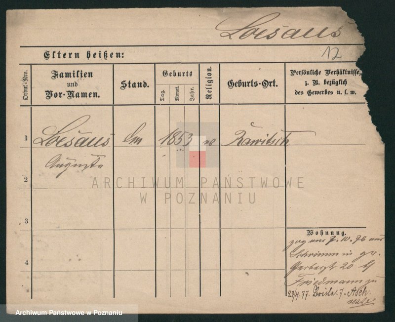 Obraz 12 z jednostki "Lesa - Lesisz"