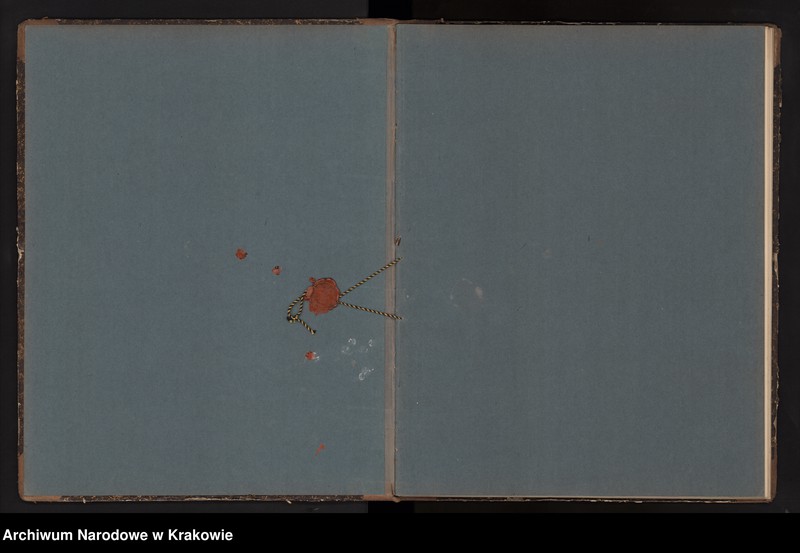 image.from.unit.number "Księga obejmująca wpisy wypadków śmierci Izraelitów w okręgu metrykalnym Krakowskim na rok 1903"