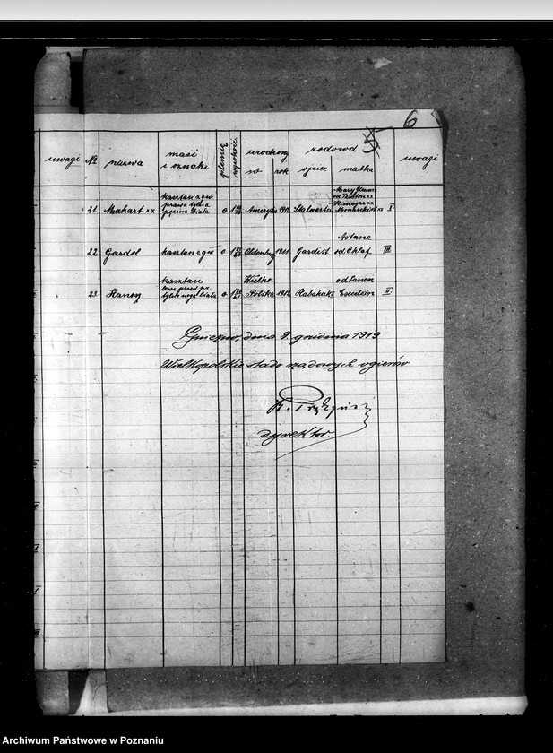 Obraz 10 z jednostki "Sprawy stadnin Zarząd Stadnin Sieraków"