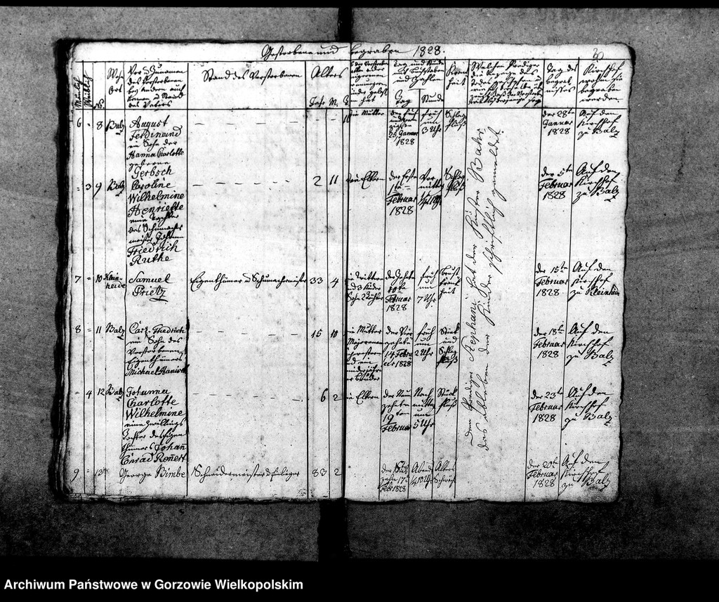 image.from.unit.number "Duplikate der Kirchenbücher von Balz: Balz (Białcz), Kleinheide Pszczelnik)"