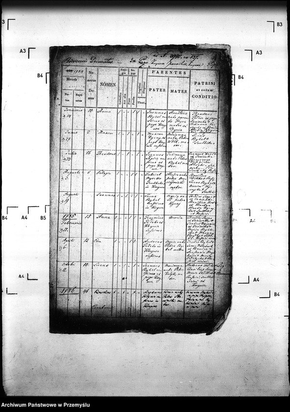 Obraz 5 z jednostki "[Kopie ksiąg metrykalnych parafii Krzywa z filią Banica (dekanat Gorlice)]"