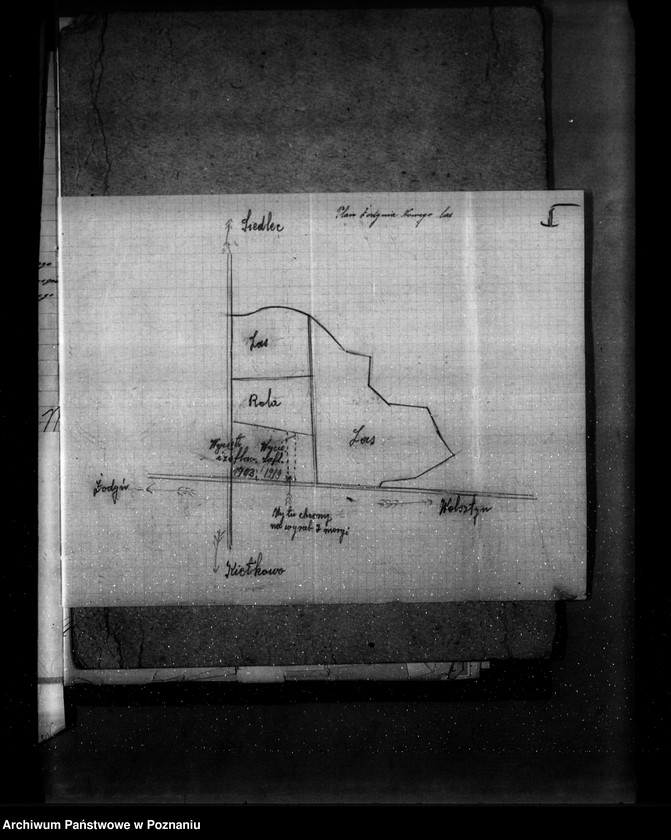 Obraz 9 z jednostki "Las gromady Żodyń Nowy powiat wolsztyński"
