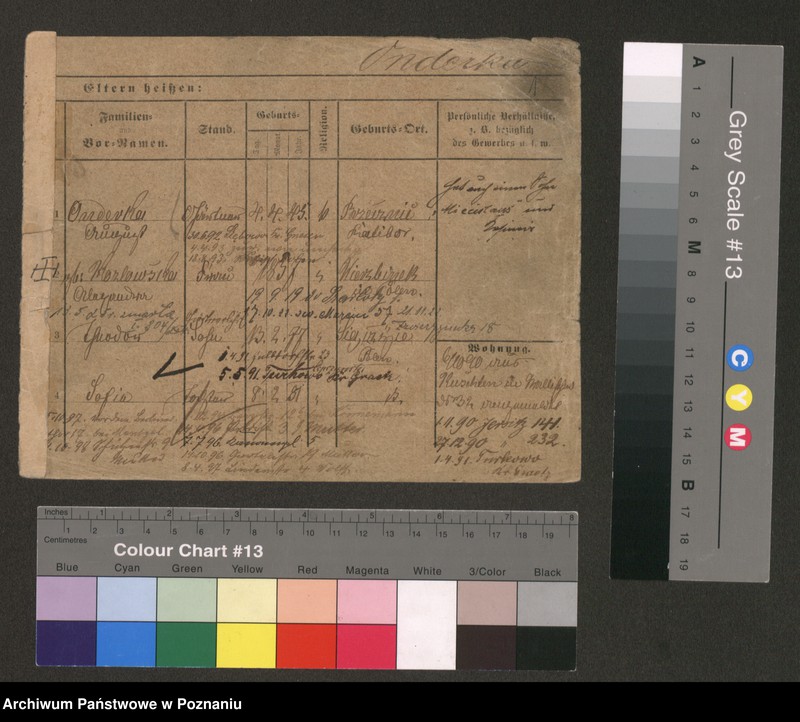 Obraz 3 z jednostki "Olszog - Opielewicz"