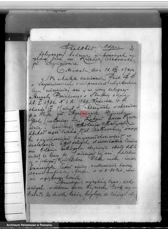 Obraz 6 z jednostki "Gmina Szyminowice powiat koniński /nadzór nad gospodarką leśną/"