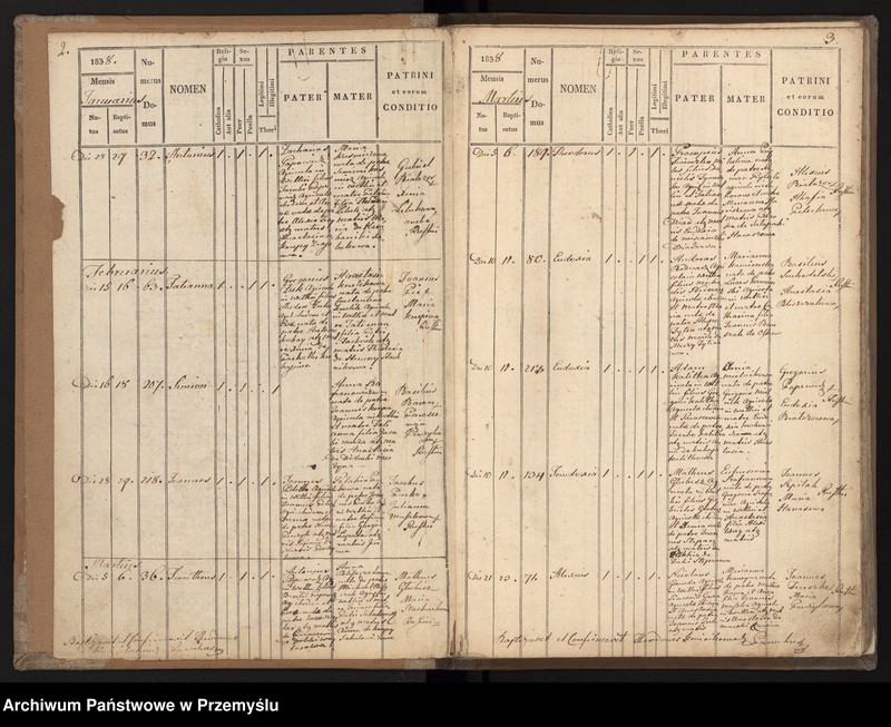 Obraz z jednostki "[Księga urodzeń parafii Wietlin]"