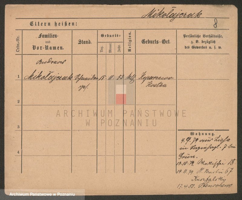 Obraz 10 z jednostki "Mikołajczak (żonaci i wdowy)"