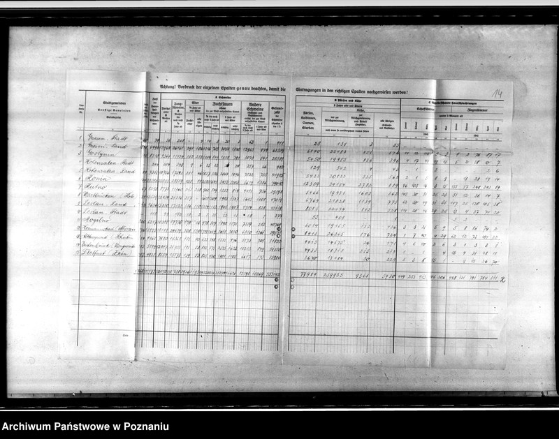 Obraz 18 z jednostki "Viehzählung"