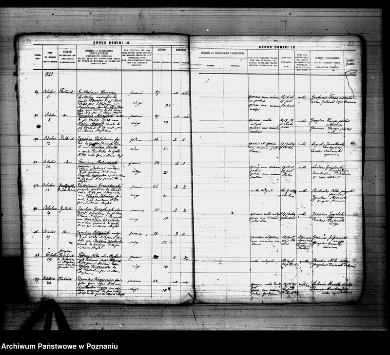 Obraz 12 z jednostki "Księga małżeństw"