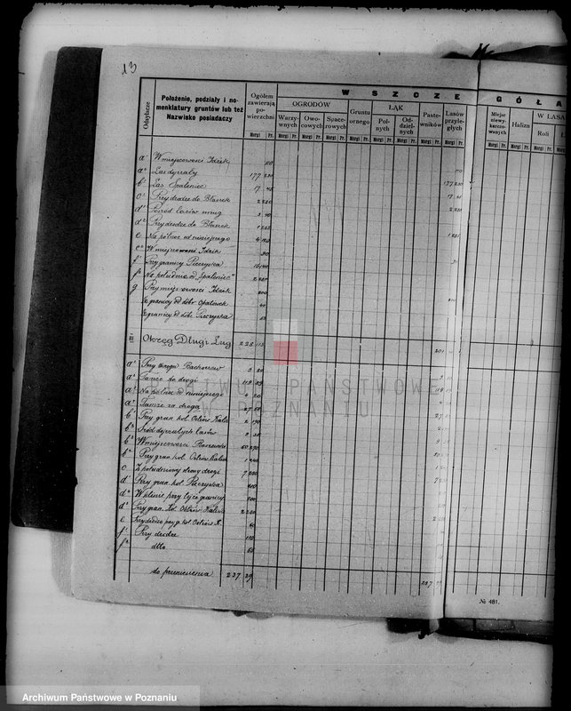 Obraz 18 z jednostki "/Las miasta Kalisza nadzór nad gospodarką/"