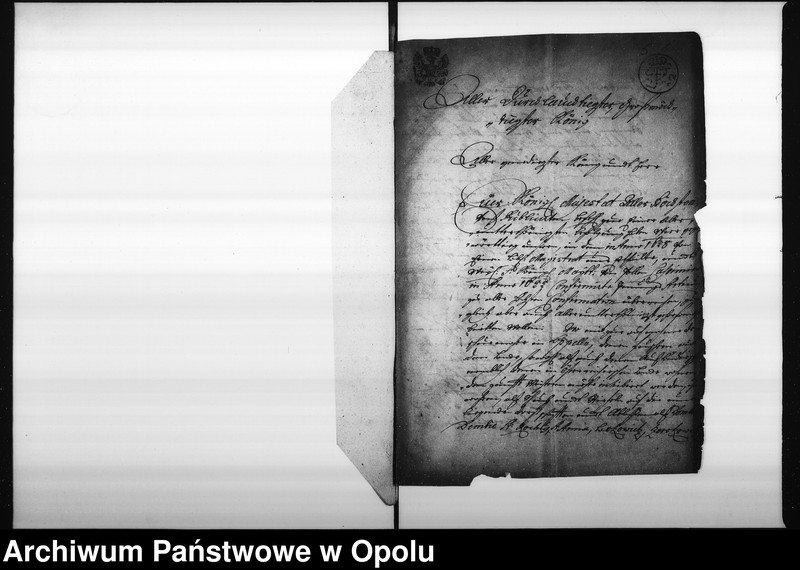 Obraz 8 z jednostki "Acta in Sachen des hiesigen Schumacher Mittels wegen der Fuscher und was dergleichen mehr"
