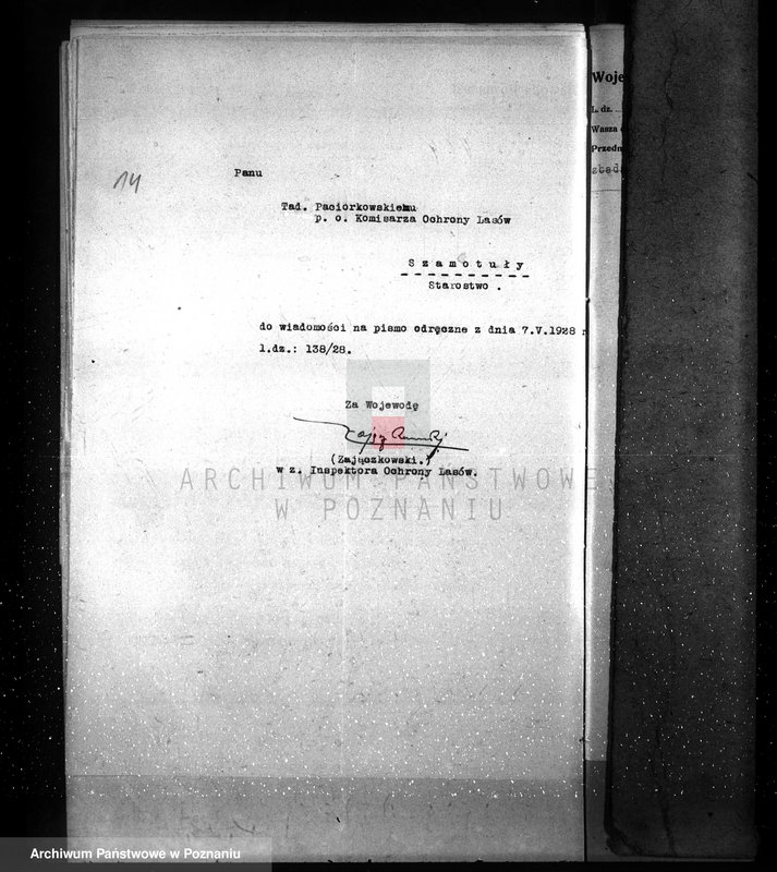 Obraz 18 z jednostki "Ordynacja Obrzycko /nadzór nad gospodarką leśną/"