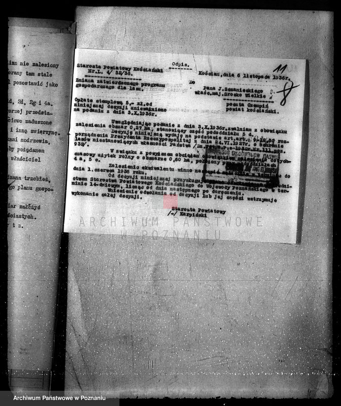 Obraz 15 z jednostki "Majętność leśna Srocko-Wielkie powiat kościański"