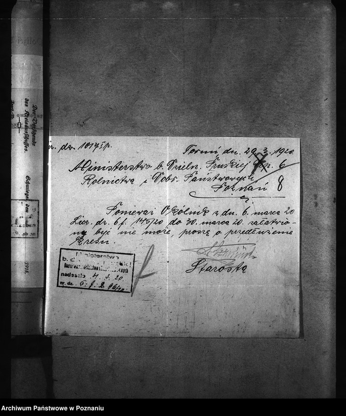 Obraz 12 z jednostki "[weterynarze narodowości niemieckiej]"