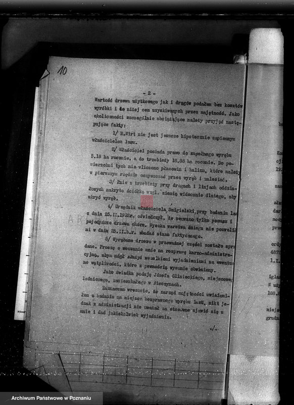 Obraz 14 z jednostki "Las majętności Bieczyny powiat kościański"