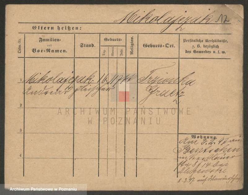 Obraz 14 z jednostki "Mikołajczak (żonaci i wdowy)"