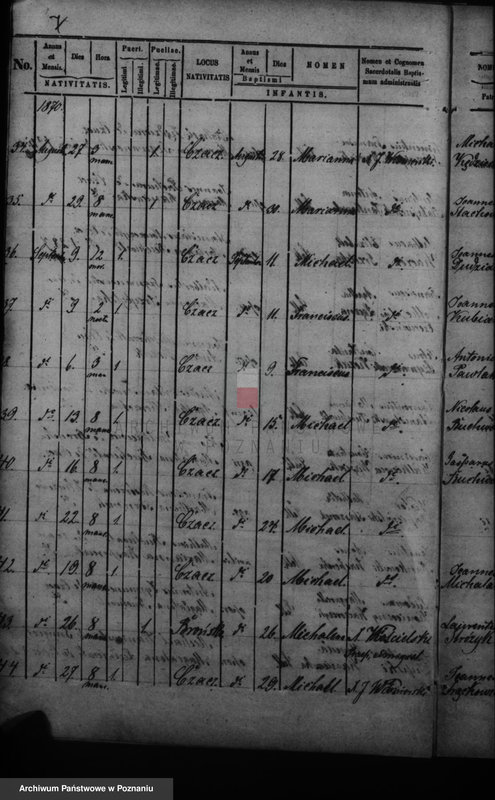 Obraz 10 z jednostki "Duplikat baptisatorum, copulatorum, mortuorum"