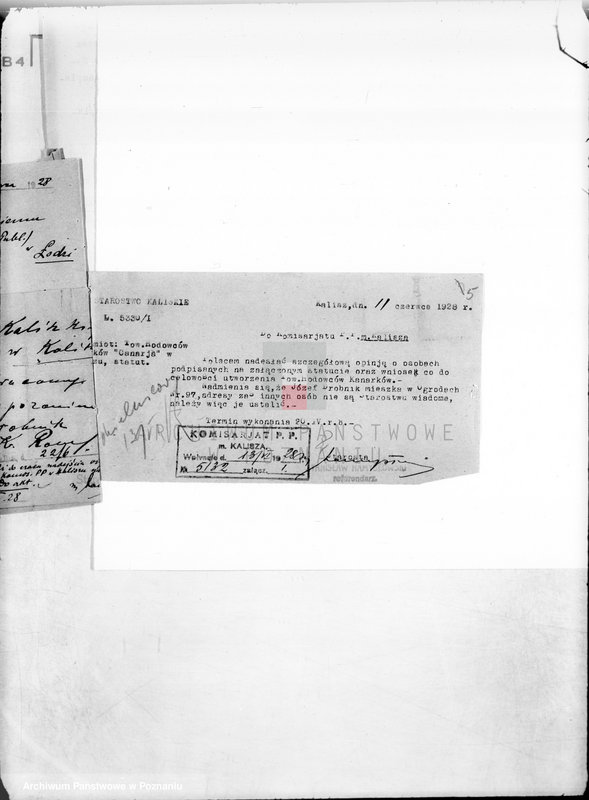 Obraz 10 z jednostki "/Towarzystwo Hodowców Kanarków,,Canaria" w Kaliszu/"