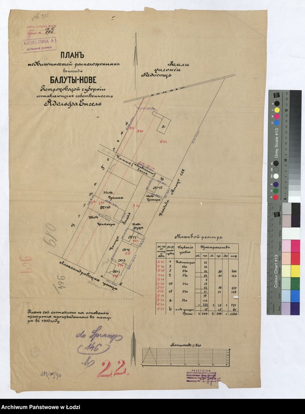 Obraz 1 z jednostki "Планъ недвижимостей расположенныхъ въ посадѣ Балуты-Нове Петроковской губернiи составляющихъ собственность Адольфа Енгель"