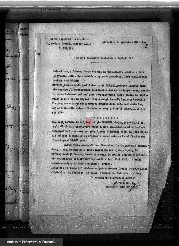 Obraz 12 z jednostki "Gmina Rzgów powiat koniński /nadzór nad gospodarką leśną/"