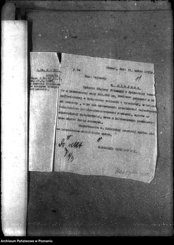 Obraz 15 z jednostki "- księgosusz -"