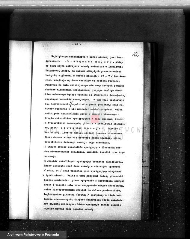 Obraz 16 z jednostki "Operat urządzeniowy lasów ordynacji Wróblewa Przem. Hr. Kwileckiego 1931-1941"