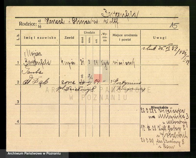 Obraz 17 z jednostki "Bergmann - Bernauer"