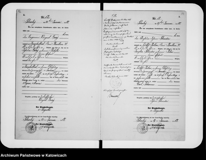 image.from.unit.number "Księga urodzeń nr 1-196"